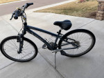 2 Trek Cruiser Bikes