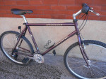 Specialized Rockhopper 21 speed mountain bike
