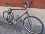 Specialized Rockhopper 21 speed mountain bike