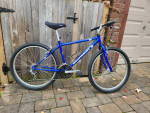 Schwinn Frontier Mountain Bike,