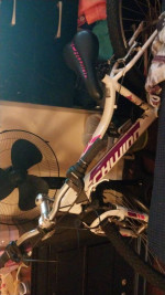 Brand new schwinn bicycle