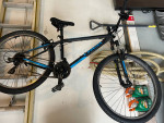 Trek Bike
