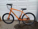 Trek Verve 1 Mountain bike-Large Frame