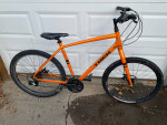 Trek Verve 1 Mountain bike-Large Frame