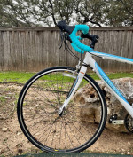 Trek Road Bike