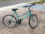 Schwinn