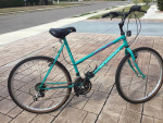 Schwinn