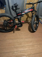 Electric bike