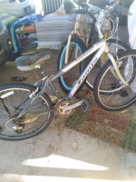 jamis aluminum adult bike
