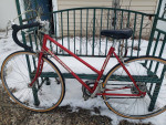 Reconditioned 80's Schwinn World  Step Through Road Bike w/49 cm frame