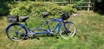 TANDEM" BERMUDA" by TORKER