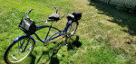 TANDEM" BERMUDA" by TORKER