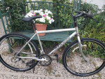 Reconditioned 2004 Marin Lucus Valley City Bike w/17.5" frame