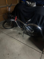 Rainbow 29” cruiser