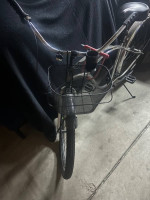 Rainbow 29” cruiser