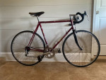 MASI GRAN CRITERIUM