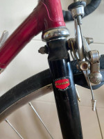 MASI GRAN CRITERIUM