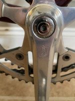 MASI GRAN CRITERIUM