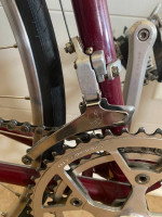 MASI GRAN CRITERIUM