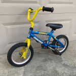 kids bike 12”