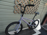 The mighty Goose= Durex BMX 20" PERFECTION + new tires