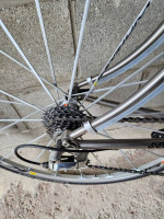 Serotta Titanium