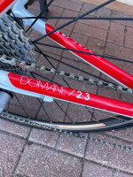 Trek Domane 2.3