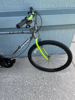 Murray Montaro Mountain Bike