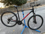 2021 Giant Roam Disc