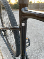 2021 Giant Roam Disc