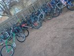4 HIGH-END LARGE/XL 26-IN MOUNTAIN BIKES SPECIALIZED GARY FISHER TREK