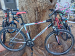 RARE GARY FISHER TARPON 2000S JUST TUNED UP RUNS PERFECT 24 SPEED