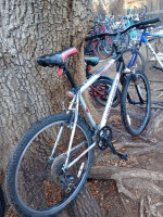 RARE GARY FISHER TARPON 2000S JUST TUNED UP RUNS PERFECT 24 SPEED