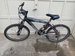 Anza Pulse Triple Pivot 21 Speed Mountain Bike