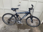 Anza Pulse Triple Pivot 21 Speed Mountain Bike