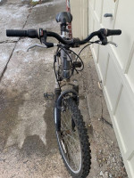 Anza Pulse Triple Pivot 21 Speed Mountain Bike