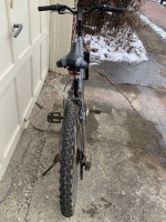 Anza Pulse Triple Pivot 21 Speed Mountain Bike