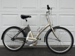 GIANT Lite E-Bike (EXCELLENT CONDITION)