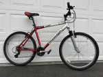 RALEIGH M40 Hardtail Mountain Bike