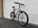 RALEIGH M40 Hardtail Mountain Bike