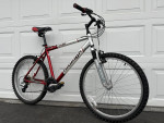 RALEIGH M40 Hardtail Mountain Bike