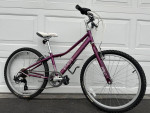 GIANT Boulder 24” Youth Mountain Bike (LIKE NEW)