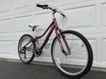 GIANT Boulder 24” Youth Mountain Bike (LIKE NEW)