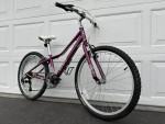 GIANT Boulder 24” Youth Mountain Bike (LIKE NEW)