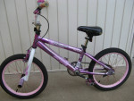 18" Genesis Hollywood Bike