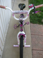18" Genesis Hollywood Bike