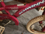 SCHWINN Lil' Stardust Coaster Brake Kids Bike Ages 3-6