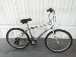 Raleigh SC7