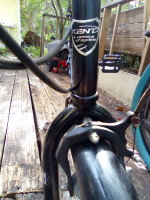 Kent 2600 Bayside Cruiser 26"needs tire