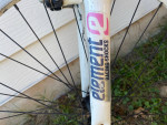 Mongoose bycicle